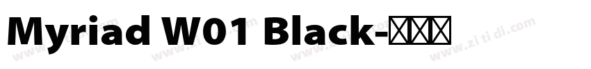 Myriad W01 Black字体转换